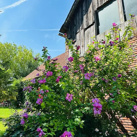Vakantiehuis 19th Century With Pool In Champagne
