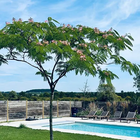 Holiday home 19th Century With Pool In Champagne